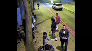 Appeal over King's Cross double assault