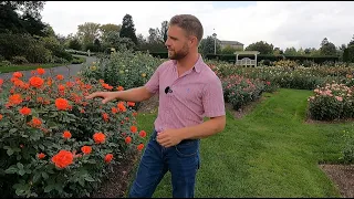 Historic Rose Garden at Hershey Gardens