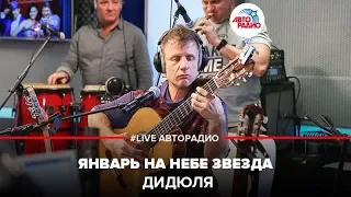 ДиДюЛя - Январь На Небе Звезда (LIVE @ Авторадио)