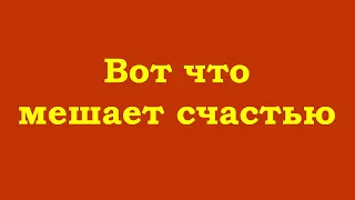 Вот что мешает счастью