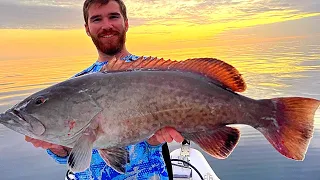 Epic Sunset Gag Grouper Bite in Flat Calm Seas!! (Limited Out)