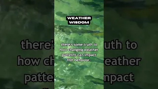 Decoding Weather Patterns: How They Affect Fish Behavior