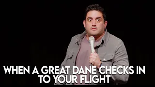 When A Great Dane Checks In To Your Flight - Jared Freid Stand Up