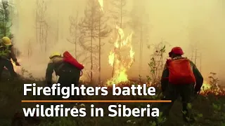 Russian firefighters battle wildfires in Siberia