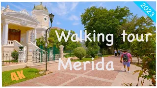 WALKING TOUR | 4K | Merida, Yucatán | Morning walk | Captions | ▶ 63 mins