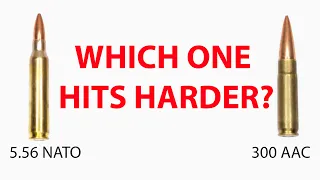 5.56 Hits Hard!! Does 300 Blackout Hit Harder?