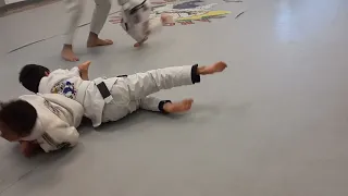 4 months #jiujitsu #bjj #6yearsold #sparring #takedown #柔術 #submission #armbar #十字固め