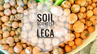 LECA FOR PLANTS. WHAT TO EXPECT WHEN SWITCHING TO SEMI HYDROPONICS? USING LECA IN POTTING SOIL