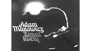 Adam Makowicz, Paprsek svetla Light ray, album Zimni Kvety Winter flowers, 1977