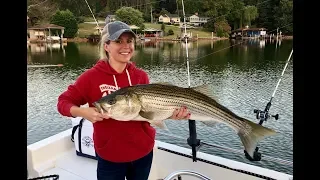 Smith Mountain Lake, VA Striper Fishing