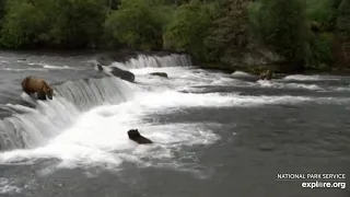 Live Bear Broadcast Booth! - MIKE FITZ/Naomi Boak go Play by Play at Brooks Falls! July 6th, 2021.