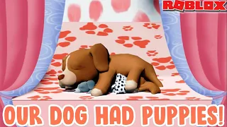 OUR DOG HAD PUPPIES! 🐶 | Bloxburg Roleplay | Roblox