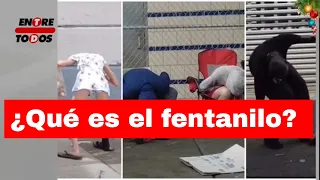 ¿Que es el Fentanilo? Principal causa de muerte en personas de 18 a 45 años en Estados Unidos.