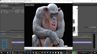 Сделать Слайд Шоу  Premiere Pro