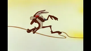 Looney Tunes - Road Runner Harpoon