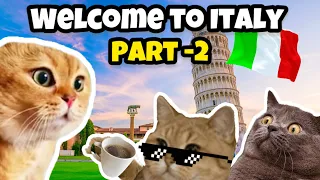 Cat Memes Family Vacations in italy Part 2 #cat #catmemes
