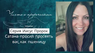 Сатана просил просеять вас, как пшеницу. Michelle Seidler | ТВ Чисто о пророческом.