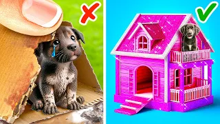 Construí una Casa para un Cachorro Callejero 🐶🏠 Consejos Secretos para Dueños de Mascotas