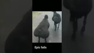 epic fails (part 142)