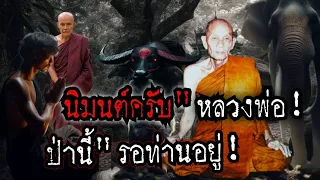 (New)นิมนต์ครับ"หลวงพ่อ!ป่านี้"รอท่านอยู่!!เรื่องเล่าจากพระธุดงค์!ปาฏิหาริย์พระป่า!!