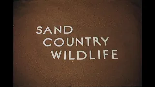 Sand Country Wildlife (1960s Documentary) by Breckenridge