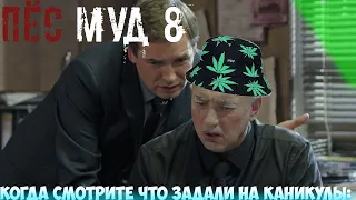 ПЁС муд 8