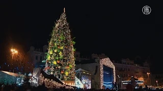 В центре Киева открыли главную ёлку (новости)