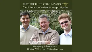 Piano Trio in G Major, Hob.XV:15: I. Allegro