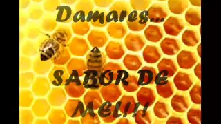 Sabor de mel - Damares