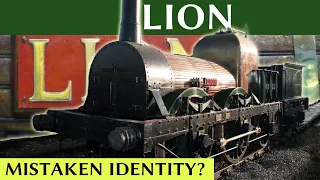Lion: Mistaken Identity?