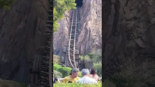 Expedition Everest Roller Coaster Ride at Animal Kingdom Disney