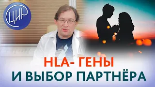 Аромат любви II. Мы выбираем. Нас выбирают... HLA и репродукция. Рассказывает Гузов И.И.