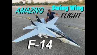 Skymaster F14 swept wing flight