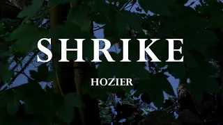 Hozier - Shrike [Lyrics]