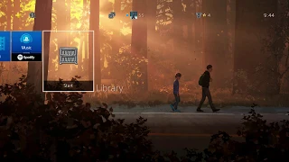 Life Is Strange 2 PS4 Theme