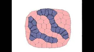 Cell Sorting (Vertex Dynamics Model)