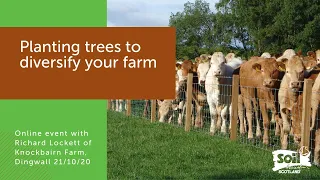 Agroforestry: How farmer Richard used trees to diversify and improve his family farm