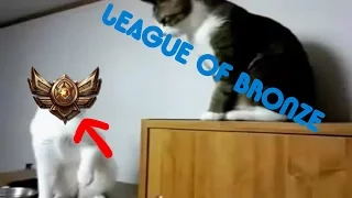 LEAGUE OF BRONZE ~ [League of Legends Parody]