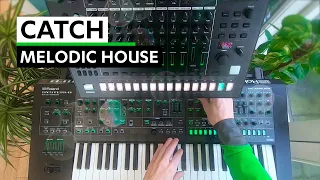 Catch - Melodic House (Roland System-8 & TR-8S)