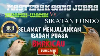 SUARA WAMBI VS SIKATAN LONDO | MASTERAN SANG JUARA WAMBI VS SIKATAN LONDO