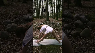 YOGA IN THE WOODS 🌲