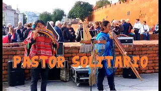 PASTOR SOLITARIO | Der Einsame  Hirte | Samotny pasterz  | Одинокий пастух |