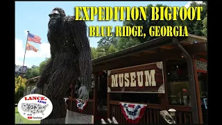 Sasquatch Museum / Expedition Bigfoot