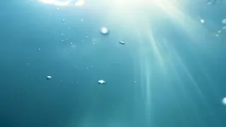 Underwater Footage Of Rising Bubbles-Creative Commons Video
