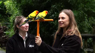 Jess from Fanimals meets our animal experiences team!