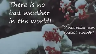 There is no bad weather in the world | У природы нет плохой погоды - Алиса Фрейндлих (1981)