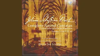 Ich hatte viel Bekümmernis, BWV 21, Seconda Parte: VIII. Duetto. Komm, mein Jesu (Soprano, Basso)