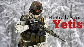 Himalayan Yetis || Mountain Strike Corps || Fire And Fury Corps. Indian Force WDH.