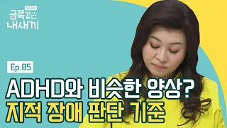 ADHD 진단을 받았던 금쪽이, 하지만 ADHD가 아니다? 오 박사의 예상치 못한 진단 | 요즘 육아 금쪽같은 내새끼 85 회