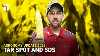 Tar Spot and SDS | Beck's Agronomy Update